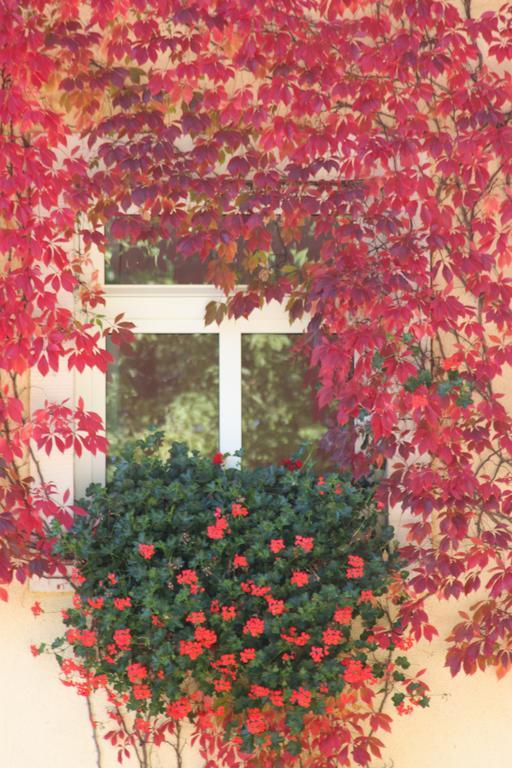 Landhaus Heidehof 디폴디스발드 외부 사진